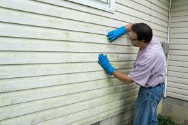 Best Vinyl Siding Installation  in Las Palmas Ii, TX